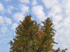 -苏州上方山国家森林公园