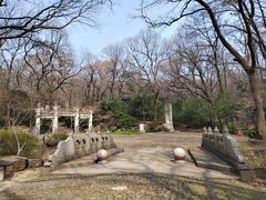 -灵谷景区