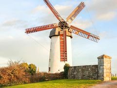 -淼鑫猪肚鸡(钟村店)