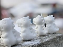 -长春市南湖公园