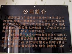 -正飞鲜奶(公园北街店)