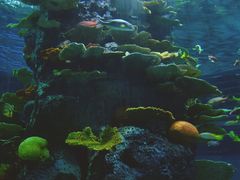 -福州罗源湾海洋世界旅游区