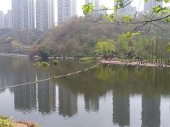 -重庆彩云湖湿地公园