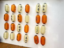 -DORA kids 朵拉儿童摄影花园店