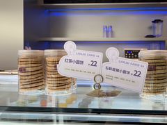 -TD66高山铁皮石斛养生茶饮