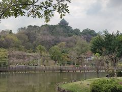 -王借岗森林公园