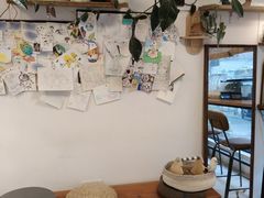 -吉丁鸟咖·异宠·寄养