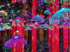 -深圳独角兽星空艺术馆