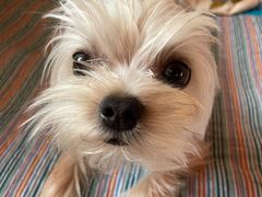 -北京恒爱动物医院(清景园分院)