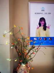 -碧莲盛·不剃发植发