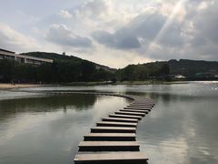 -上海佘山世茂艾美酒店