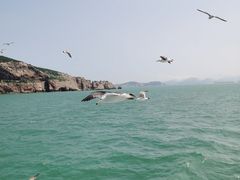 -海驴岛(荣成市)