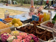 -春花秋色城市公园