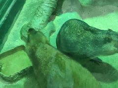 -福州罗源湾海洋世界旅游区