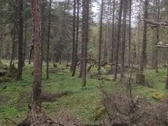 -硗碛藏寨·神木垒景区
