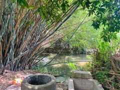 -杨厝六十六农庄农舍(杨厝路店)