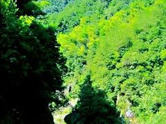 -磐安十八涡风景区
