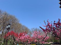 -玲珑塔公园