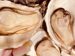 -蚝翅·海鲜粥·烧烤·龙虾季(海曙天一店)