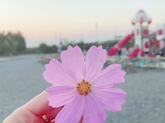 -西海岸生态观光园