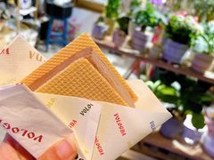 -沃洛格达(万象城n次方店)