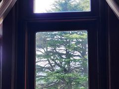 -青岛德国总督楼旧址博物馆