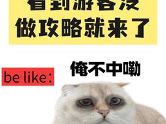 -巧克力渔家.小船海鲜家常菜(大象国际店)