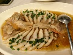 -骏莱海鲜鱼港(五角场店)