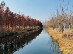 -溱湖国家湿地公园