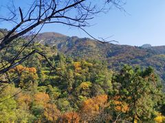 -北京上方山国家森林公园