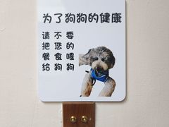 -沏点Trattoria意大利餐厅(新街口店)