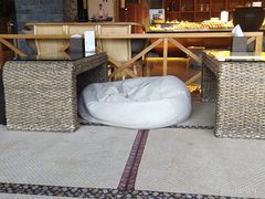 -金沙会馆
