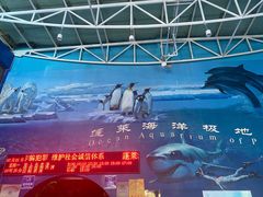 -蓬莱欧乐堡海洋极地世界