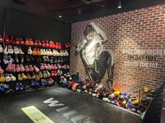 -威尔仕健身·游泳(KING88店)