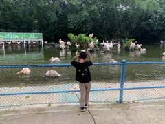 -广州长隆飞鸟乐园