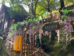 -灵岩山风景区