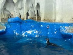 -太平洋海底世界