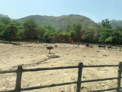 -西安秦岭野生动物园
