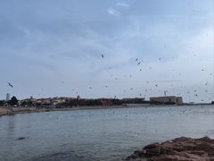 -青岛第二海水浴场