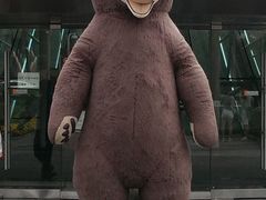 景点-济州岛泰迪熊博物馆