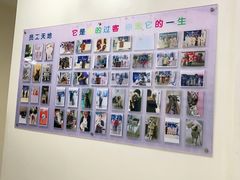 -全心全意连锁动物医院·微创中心·内科急重症·心脏专科(丰管路店)