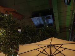-三强鸽子(中原路店)