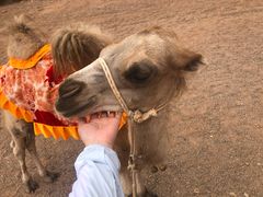 -天山神秘大峡谷