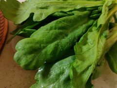 -八先生涮肉房(三里河店)