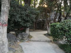 -莲湖公园