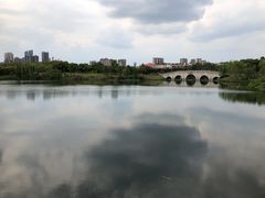 -眉山湿地公园(东坡区)
