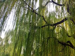 -玲珑塔公园