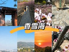 -香雪海