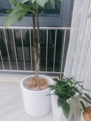 -HEYAN荷妍专业脱毛连锁机构