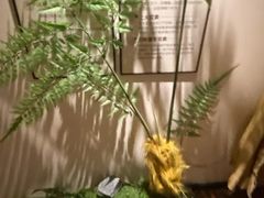 -沐善人家中医·推拿·理疗·三伏灸(新洲店)